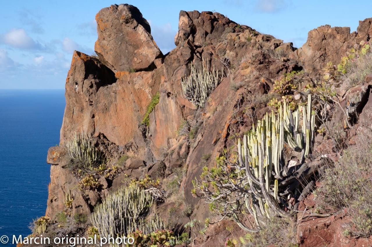 Tenerife Lizards - Duplex In The First Line Callao Salvaje Exterior foto